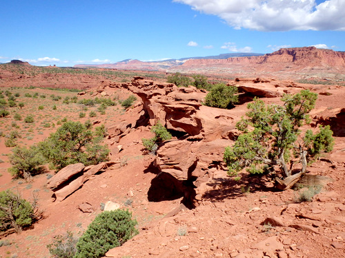 Capitol Reef National Park.