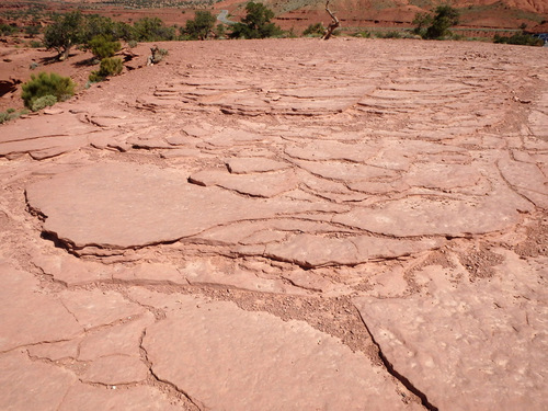 Capitol Reef National Park.