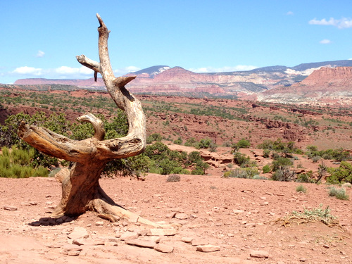 Capitol Reef National Park.