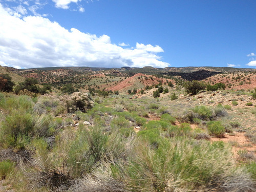 Capitol Reef National Park.