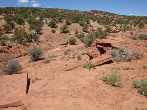 Capitol Reef National Park.