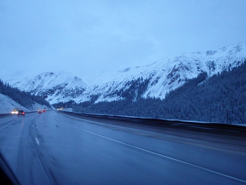 Vail Pass, Colorado, at about 10,000' MSL, 22 June 2019.