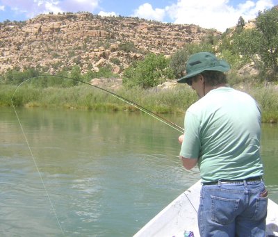 Dennis hooks a Brown Trout.