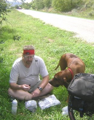 Hound Dog visits for lunch.