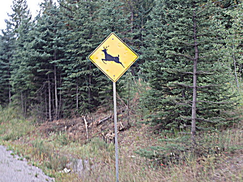 GDMBR: Southbound on BC Hwy 43, Canada.