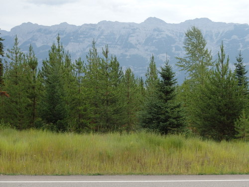 GDMBR: Southbound on BC Hwy 43, Canada.