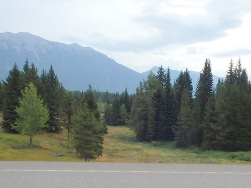 GDMBR: Southbound on BC Hwy 43, Canada.