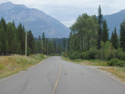 GDMBR: Southbound on Lower Elk Valley Road, BC, Canada.