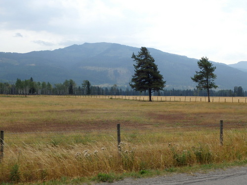 GDMBR: Southbound on Lower Elk Valley Road, BC, Canada.