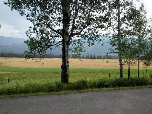 GDMBR: Southbound on Lower Elk Valley Road, BC, Canada.