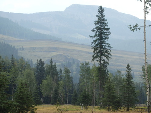 GDMBR: A zoom of the previous photo - Mine tailings.