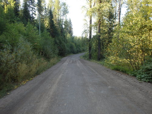 GDMBR: Riding south on Cokato Road.