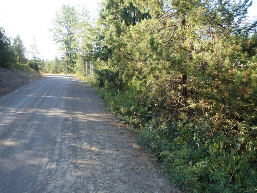 GDMBR: Riding south on Cokato Road.