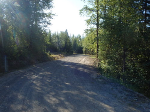 GDMBR: Riding south on Cokato Road.