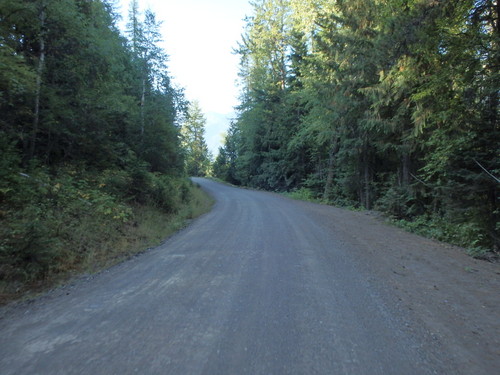 GDMBR: Riding south on Cokato Road.