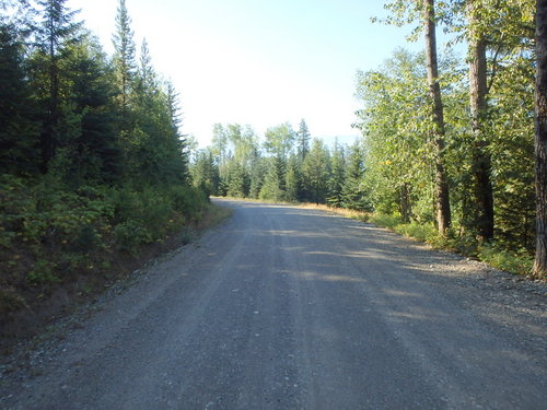 GDMBR: Riding south on Cokato Road.