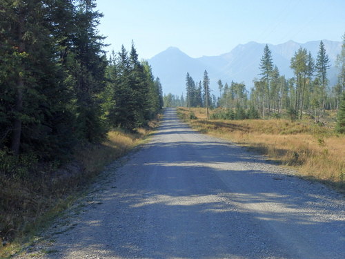 GDMBR: Riding south on Cokato Road.