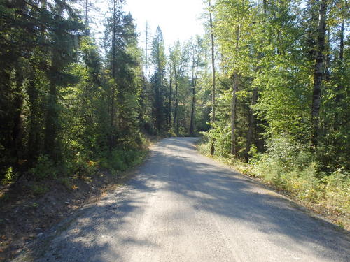 GDMBR: Riding south on Cokato Road.