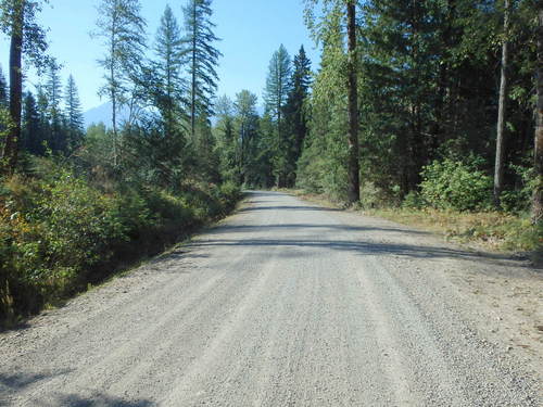 GDMBR: Riding south on Cokato Road.