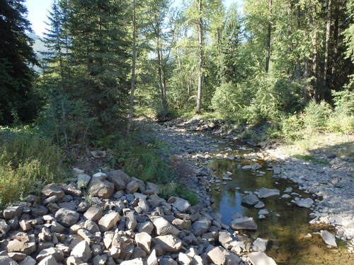 GDMBR: Morrissey Creek.