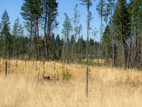 GDMBR:  A view of the dry grass to the west.