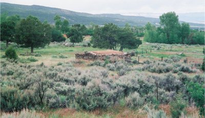 Old Sod Structure