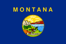 Montana State Flag