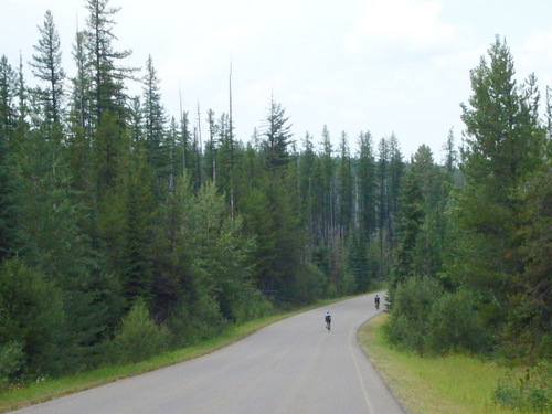 Northbound on Camas Road, Glacier NP.