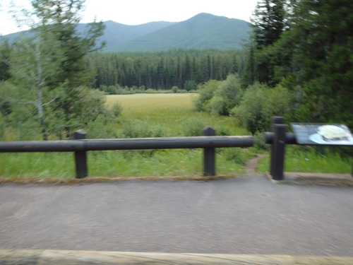 Passing the second Fen (we looked for animals, none).