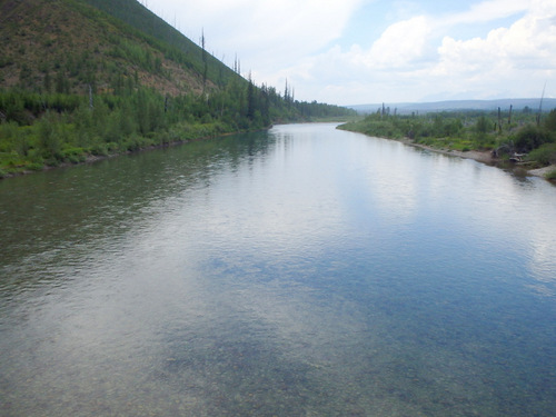 Flathead River, looking downstream.