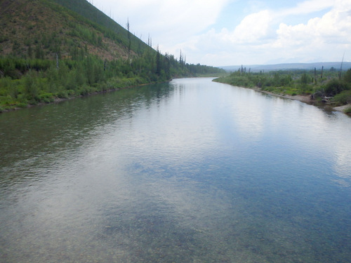 Flathead River, looking downstream.