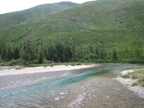 Flathead River, looking upstream.