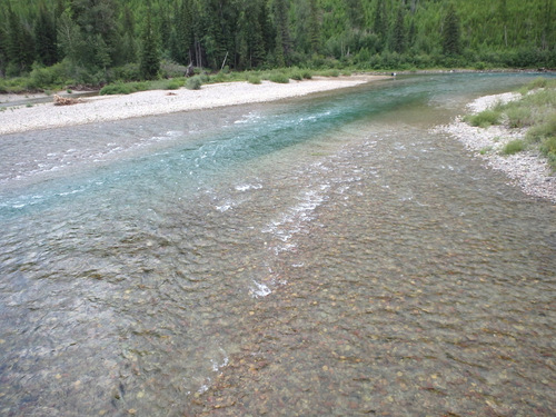 Flathead River, looking upstream.