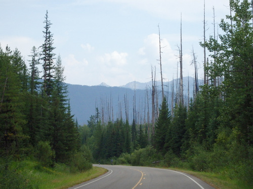 Heading south on Camas Road.