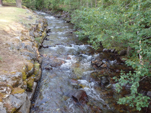 Looking up the adjacent creek.