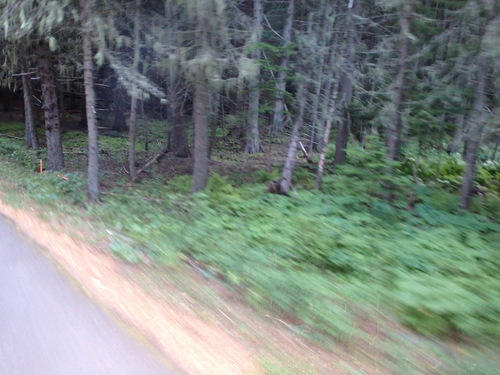 We were fast.