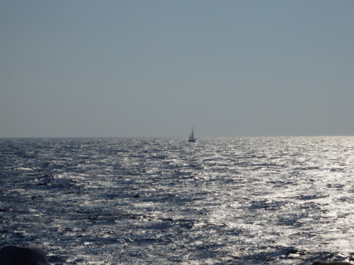 Saronic Islands Tour.