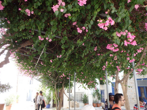 Saronic Islands Tour.