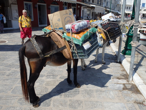 Saronic Islands Tour.