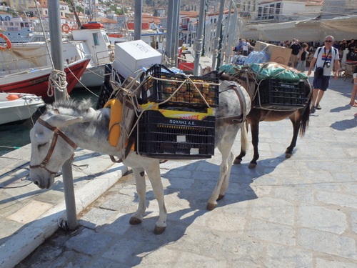 Saronic Islands Tour.