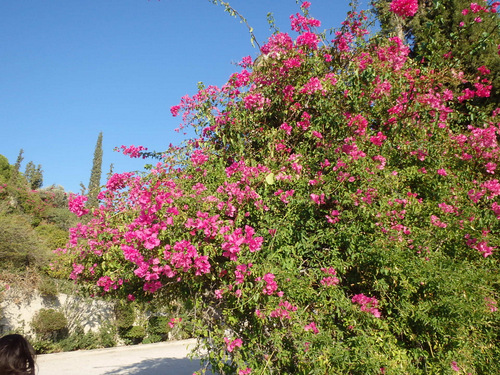 Saronic Islands Tour.