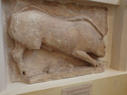 The Museum of Delphi.