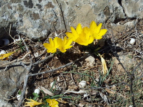 Acrocorinth.