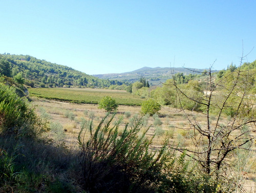 Loop ride from Corinth to Nemea.
