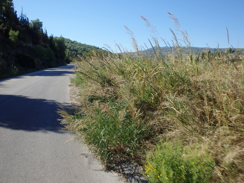 Loop ride from Corinth to Nemea.