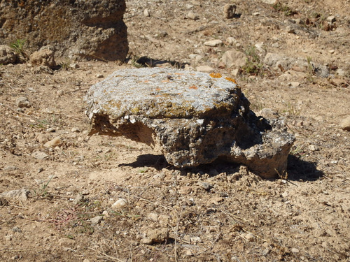 Temple of Zeus, Nemea.