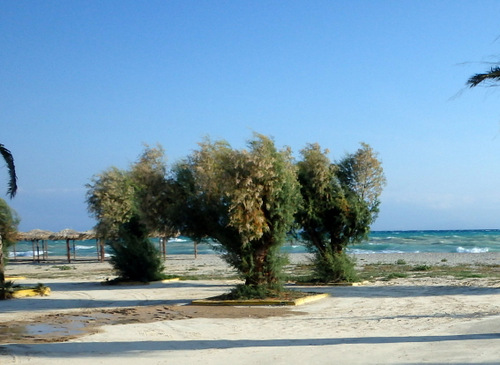 Ride to the ocean and turn left (west).