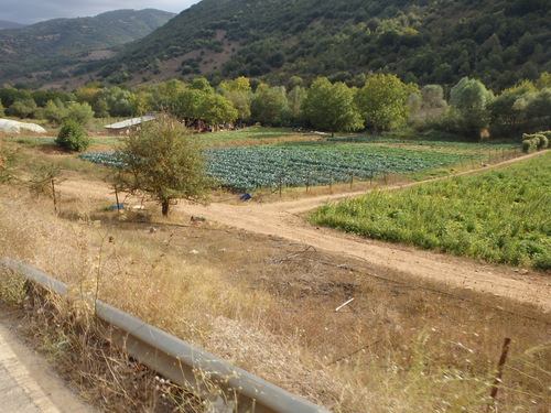 Country gardens.