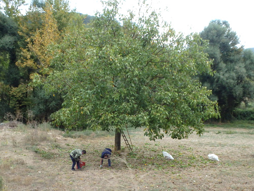 Cycle from Kalavrita to Patras.
