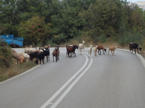 Cycle from Kalavrita to Patras.